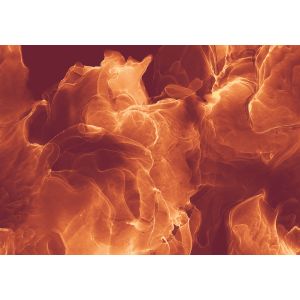 INX8-073 Фототапет    Evoke