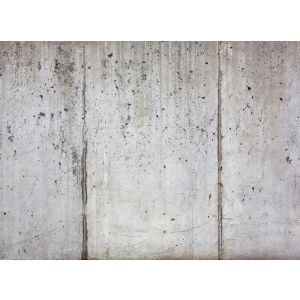 118786 Фототапет Concrete Wall