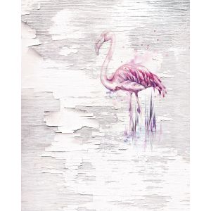 6007A-VD2 Фототапет Pink Flamingo