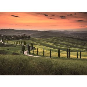 118652 Фототапет Tuscany 2