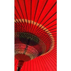 V3-755 PHOTOMURAL 150/250 СМ