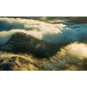 SHX9-063 Фототапет Pangea