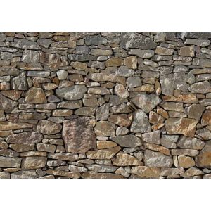 8-727 Фототапет Stone Wall