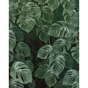 P035-VD2 Фототапет Monstera on Marble  - Domko.com P035-VD2 Фототапет Monstera on Marble