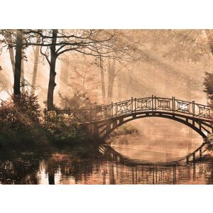 118624 Фототапет  Park Bridge 2