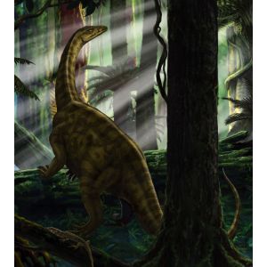 IANGX5-012 Фототапет Riojasaurus Forest