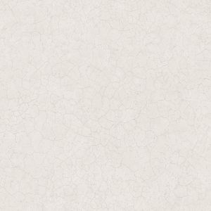 G78121 Vinyl wallpapersr Texture FX