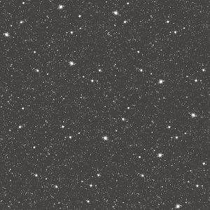 G78407 Vlies Wallpaper Tiny Tots 2