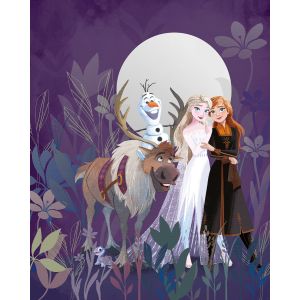 IADX4-092 Photomural Into Wonderland