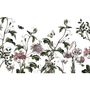 P266-VD4 Photomural Paradis de Papillons