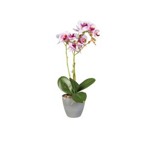 G1911017 Изкуствена орхидея в саксия, бяло/розова