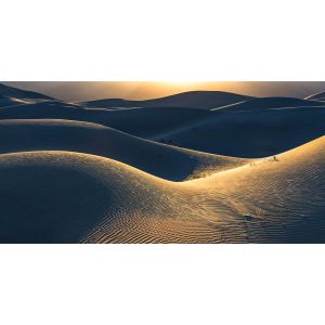 PSH105-VD5 Фототапет Body Lines