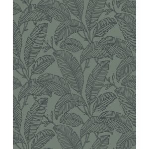 A66401 Wallpaper Attitude