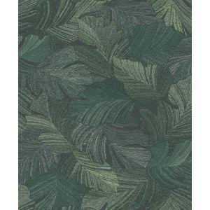 A66502 Wallpaper Attitude