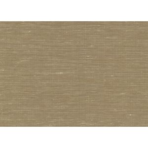 3116 Wallpaper JV454 Omnia