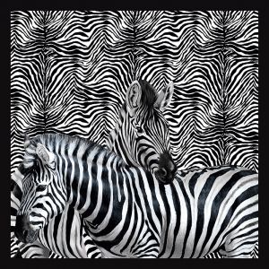 TCW012TCAHHUZ027 Panel Dolce & Gabbana