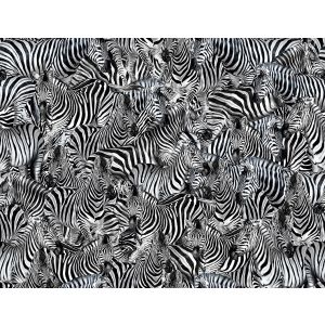 TCW013TCAHHUZ011 Panel Dolce & Gabbana