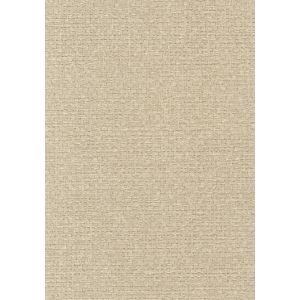 02E65 Тапет винил Arianne