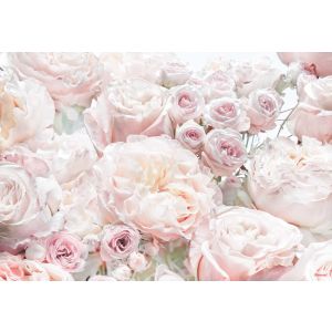 8-976 Влийс Фототапет Spring Roses
