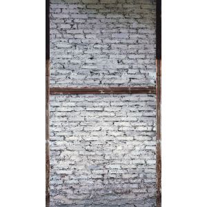 38351-1 Фототапет The Wall