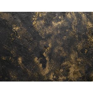 10009 Пано Material 360 First