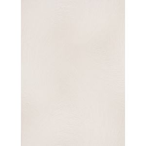 1040314 Wallpaper Vinyl Spotlight 2