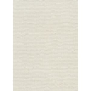 1053902 Wallpaper Vinyl Aurora