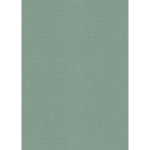 1053918 Wallpaper Vinyl Aurora