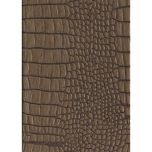 10743 Тапет винил Zambesi