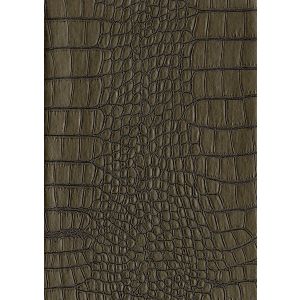 10745 Тапет винил Zambesi