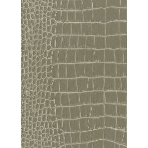 10747 Тапет винил Zambesi