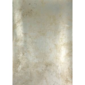 10761 Тапет винил Burnish