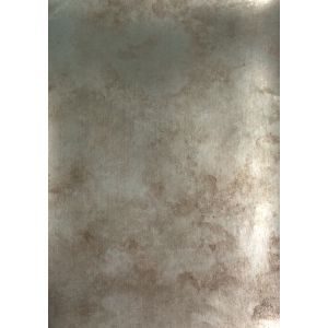 10763 Тапет винил Burnish