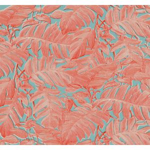 IAX6-0004 Фототапет Coralla