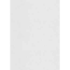 12366 Тапет винил Novaro