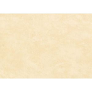 61422763 Тапет винил Cirrus