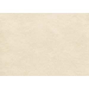 61422762 Тапет винил Cirrus