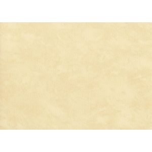 61422250 Тапет винил Cirrus