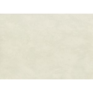 61422240 Тапет винил Cirrus