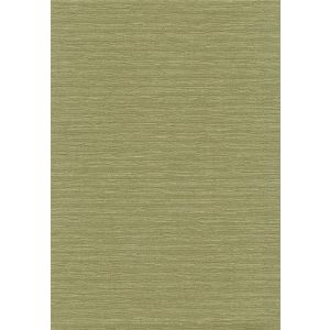 02E43 Тапет винил Zuri