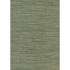 09A59 Тапет винил Canton