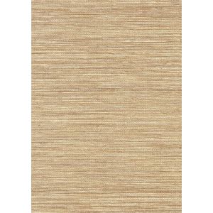 09A44 Тапет винил Canton