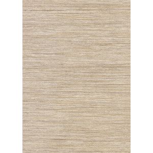 09A43 Тапет винил Canton