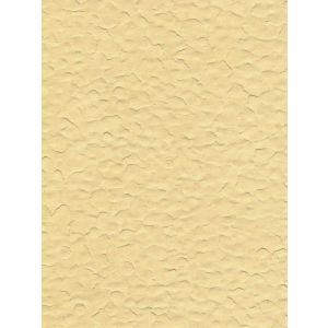 07A54 Тапет винил Verona