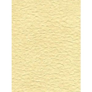 07A53 Тапет винил Verona