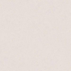 17191 Влийс тапет MiniMe