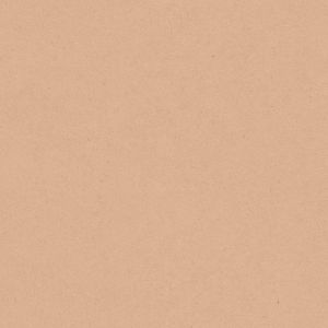 17198 Влийс тапет MiniMe