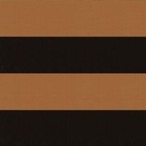 12052 Wallpaper vinyl ROBERTO CAVALLI 1