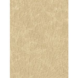 P8442 Тапет винил Cordova