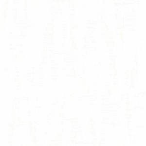 2067 Vinyl Wallpaper Pigmenta